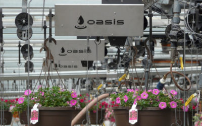 Maximize Water Quality and Efficiency in the Greenhouse