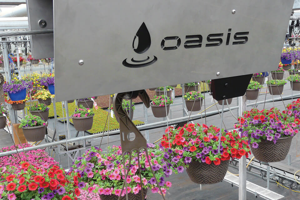 How to Manage Water Load in Your Hanging Flower Baskets