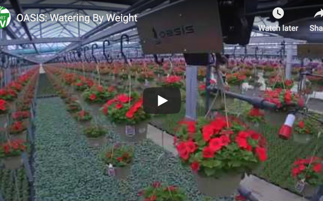 Greenhouse Product News – OASIS: Watering By Weight
