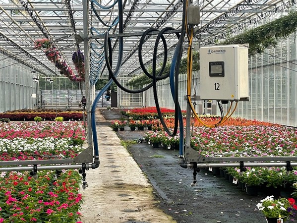 Hanging baskets watered by an innovative system